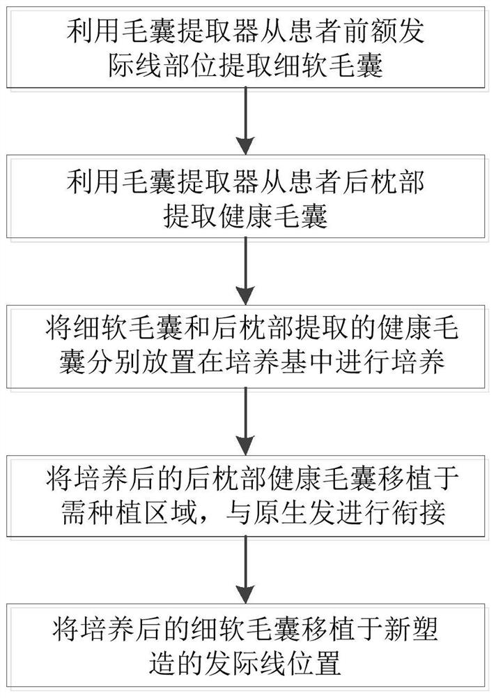 一种金准毛囊移植方法