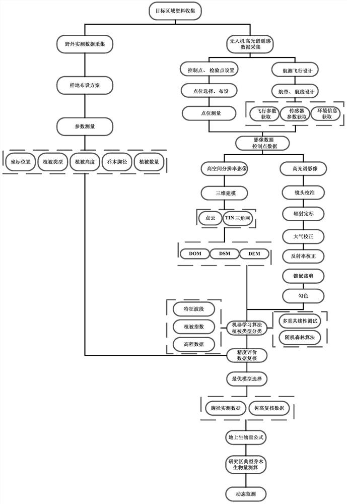 基于无人机高光谱和机器学习算法的乔木生物量测算方法