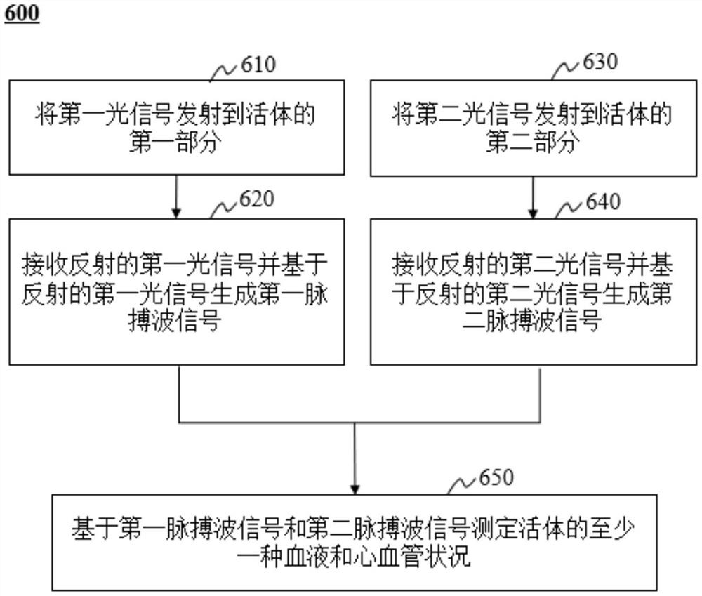 测定血液和心血管状况的设备及其使用方法