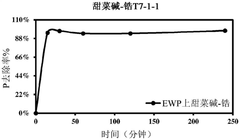 水纯化组合物及其制造方法