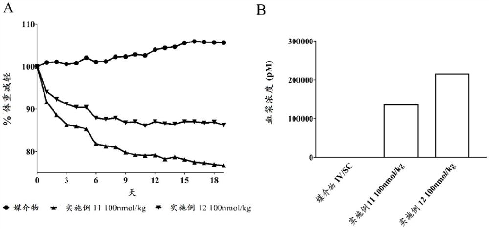 用于治疗肥胖症的新型化合物