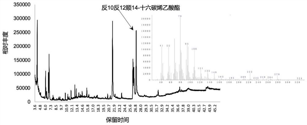 (E,E,Z)-10,12,14-十六碳三烯乙酸酯的制备方法及组合物和诱芯