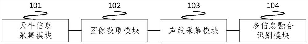 一种天牛发生测报系统及方法