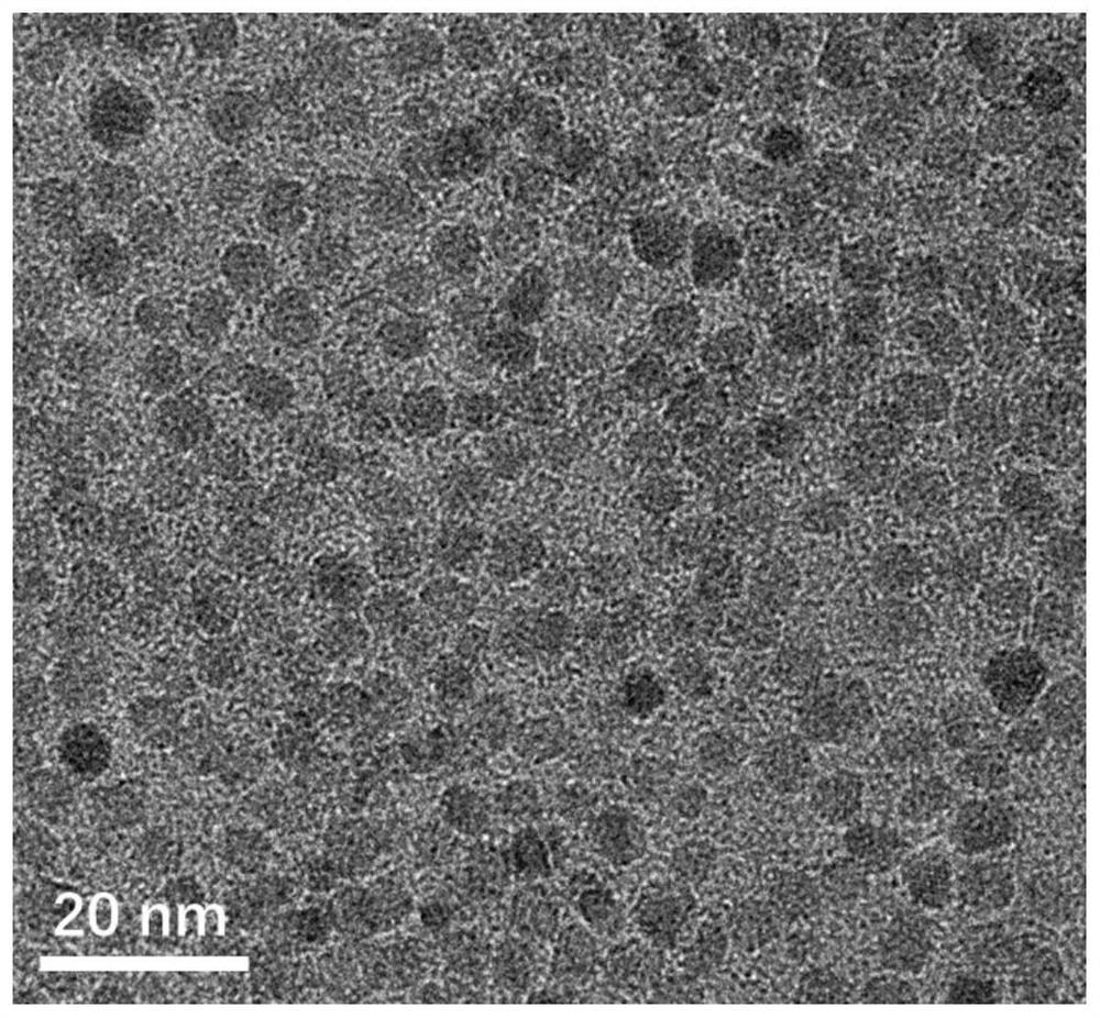 一种超小氧化铁纳米颗粒及其制备方法及应用