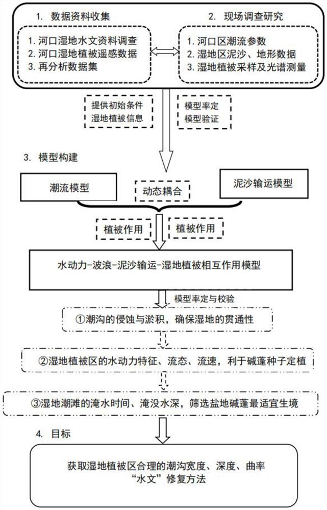 一种河口湿地植被生境修复方法