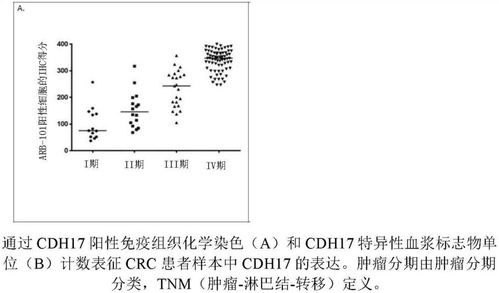 用于诊断和治疗癌症的组合物和方法