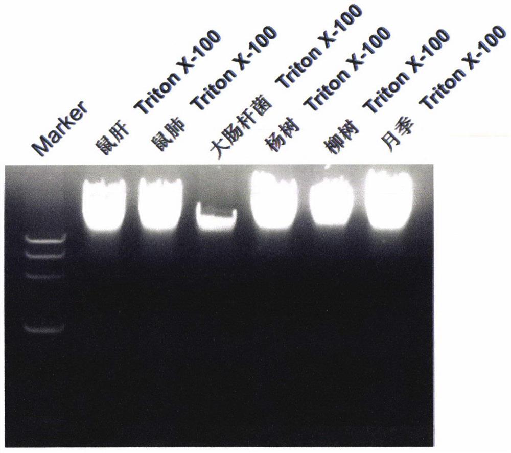 一种快速提取生物DNA的样品处理方法