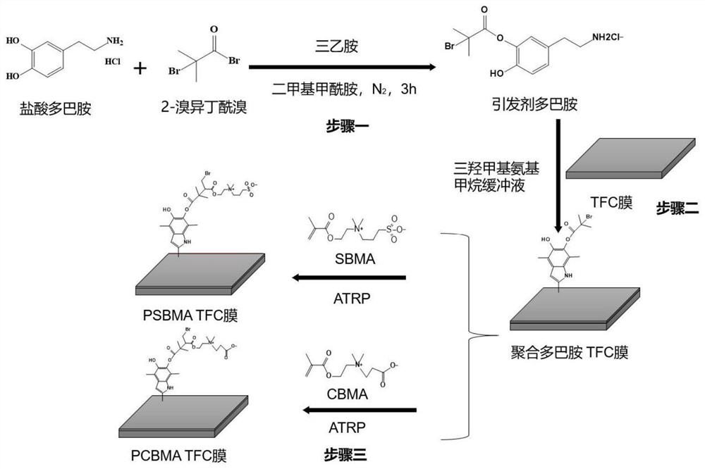 一种后处理制备抗污染正渗透聚酰胺复合膜的方法