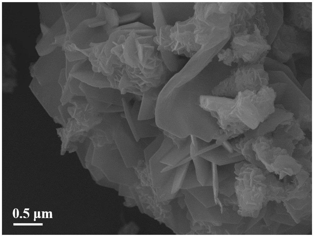 基于漆酶-磷酸铜纳米花为基底负载二硫化钼纳米片衍生的复合材料制备方法及其应用