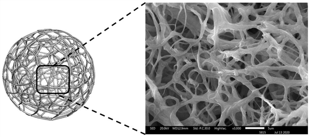 丝素微纳米纤维微球及其制备方法与应用