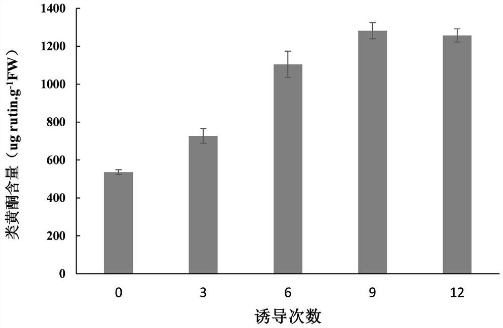 一种喜马拉雅紫茉莉愈伤组织继代培养基及其应用