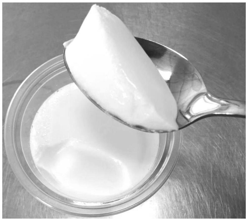 一种搅拌型牛胶原蛋白低脂酸奶及加工方法