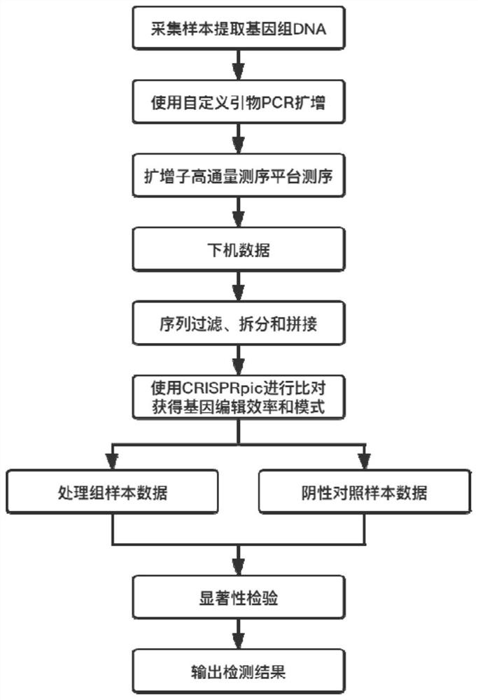 一种检测基因编辑效率和基因编辑模式的方法及其应用