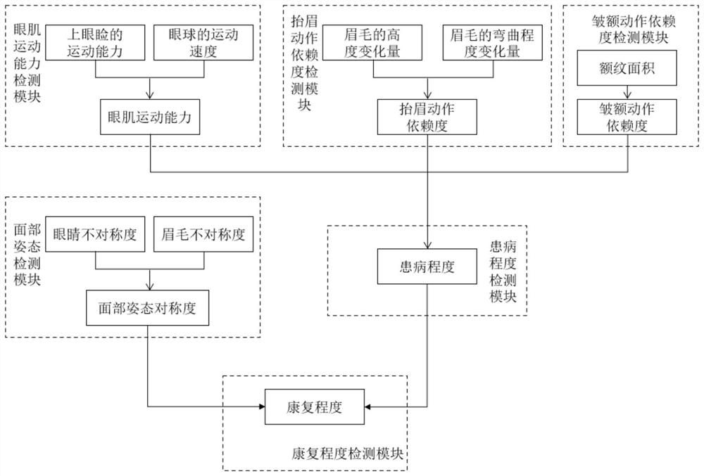 基于眼部肌肉运动分析的面部神经麻痹疾病康复检测系统