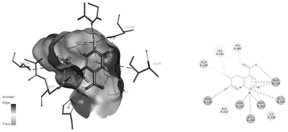 一种异烟酸衍生物Ⅶ异构体及其在抗炎、抗血小板凝集及免疫抑制剂开发中的应用