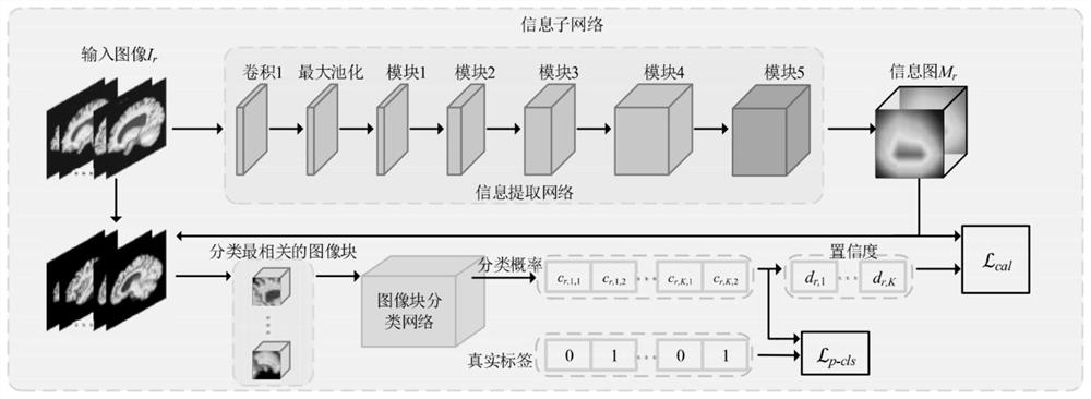 一种基于任务驱动的层次注意力网络的MRI图像分类方法