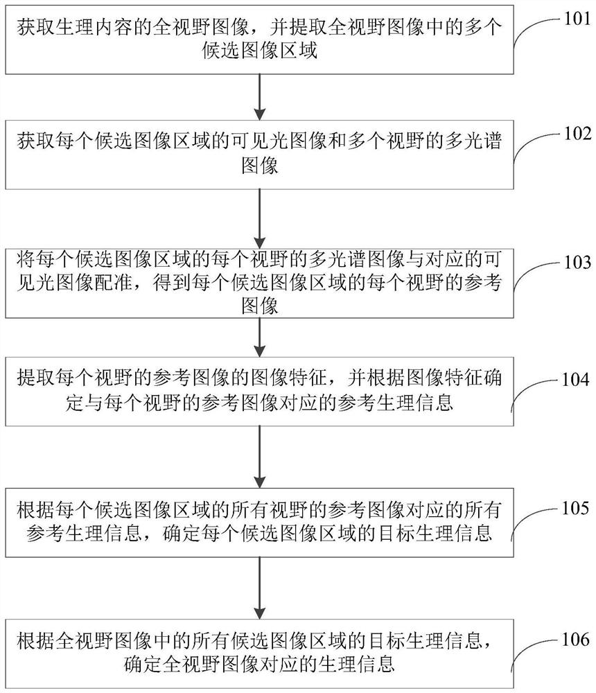 结合多光谱和可见光图像的生理信息获取方法和装置