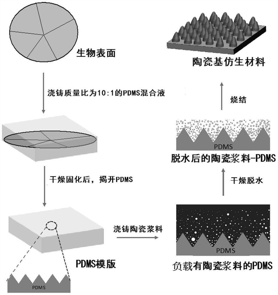 陶瓷基仿生材料及其制备方法与应用