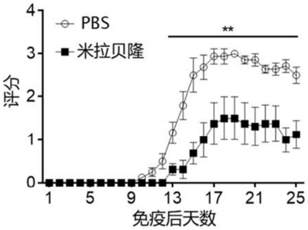 β3-肾上腺素能受体激动剂在制备治疗神经系统疾病的药物中的应用