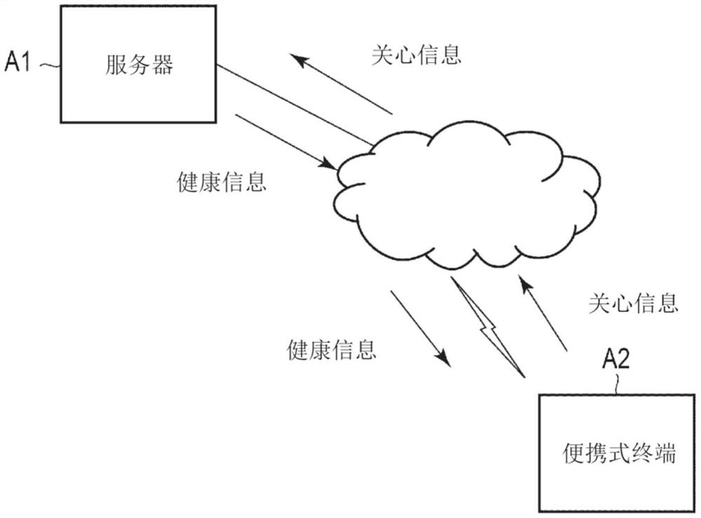 信息处理装置、信息处理方法以及用于信息处理的程序