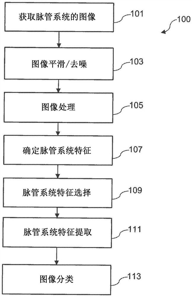 基于脉管化模式的诊断、预测、确定预后、监测或分期疾病的方法