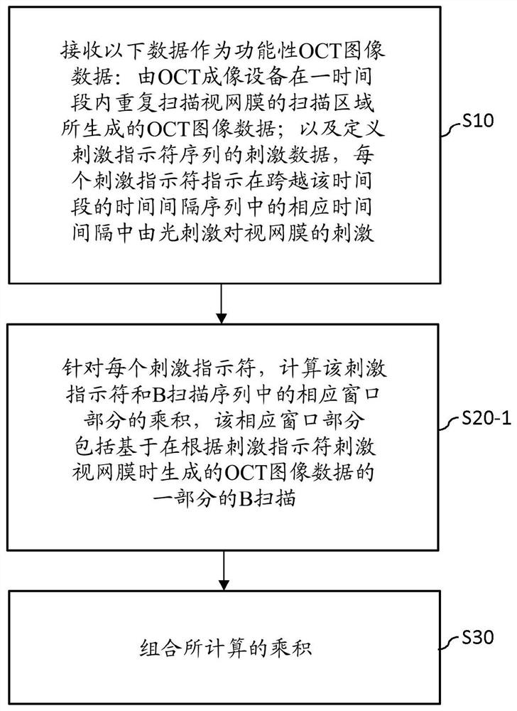 功能性OCT数据处理