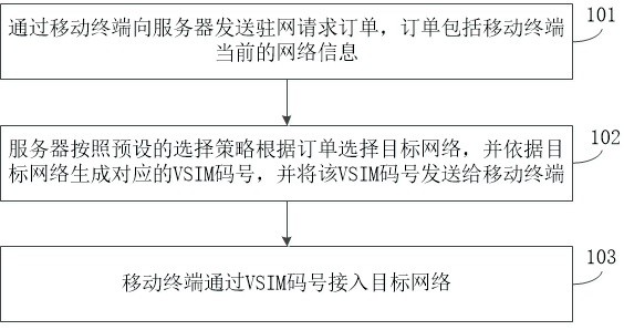 虚拟卡驻网方法和系统、服务器、移动终端和存储介质