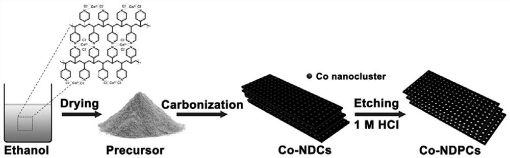 原位非晶态钴模板法合成氮掺杂单峰超微孔碳纳米片、方法及应用
