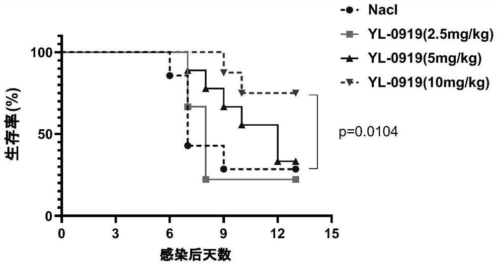 YL-0919在制备抗感染或感染相关疾病的药物中的应用