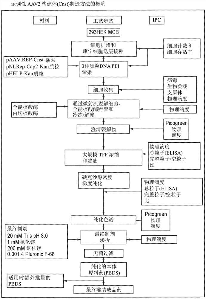 AAV组合物、制造方法和使用方法