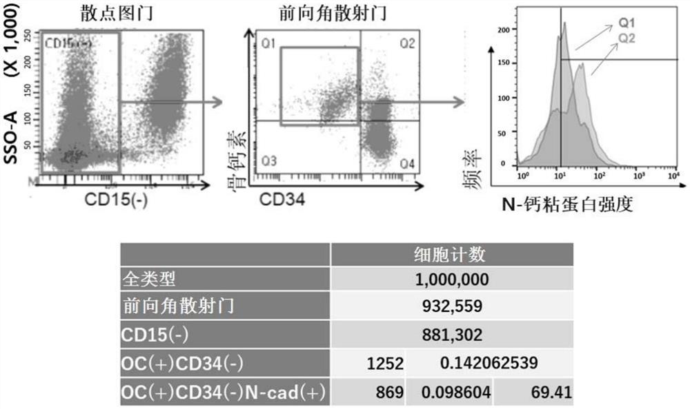 癌症的骨转移诊断用组成物及包括其的试剂盒