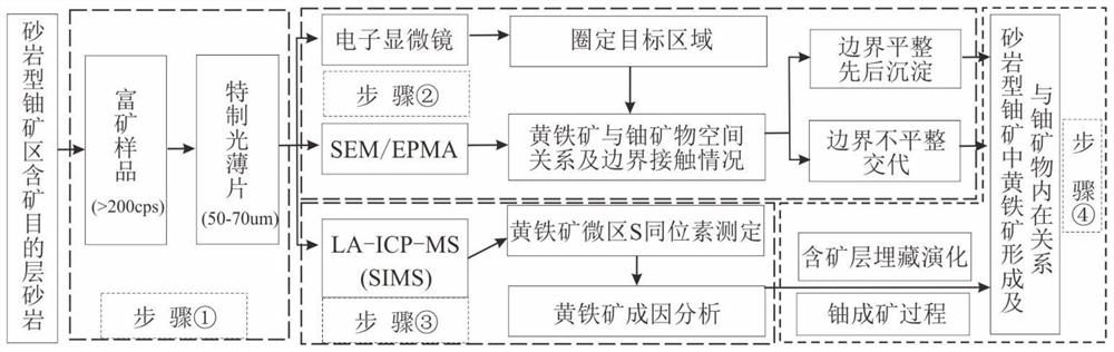 确定砂岩型铀矿中黄铁矿与铀矿物内在关系的地质方法