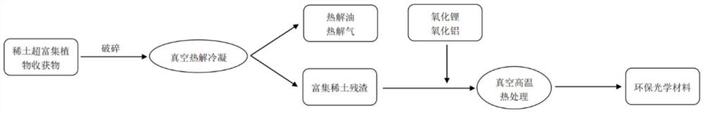 一种利用稀土超富集植物制备环保光学材料的方法