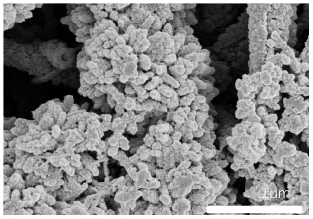 聚苯胺/热塑性聚合物导电纳米纤维膜及其制备方法