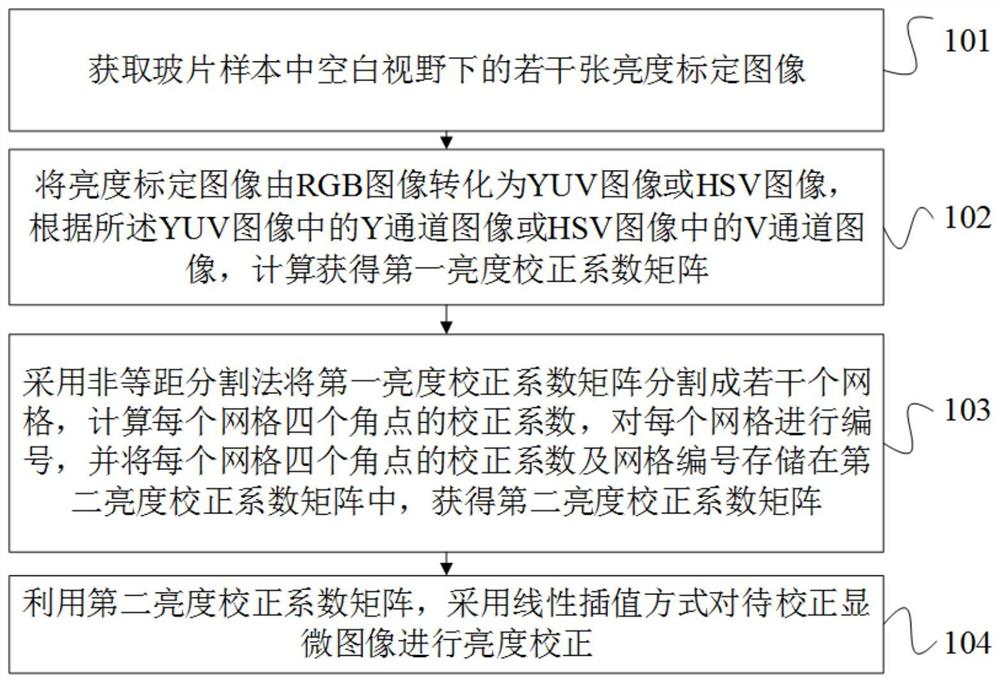 一种显微图像的亮度校正方法及系统、计算机设备