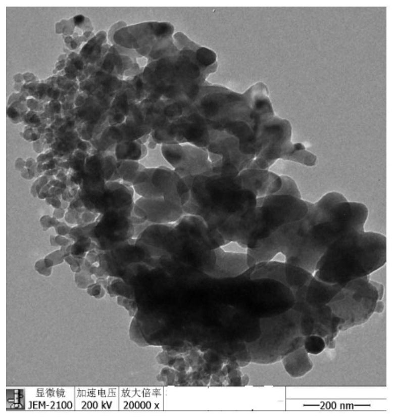 一种微纳米化天然贝壳钙素粉的制备方法及用途