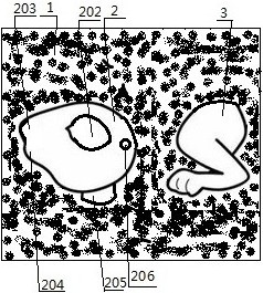 一种动物标本的制作方法