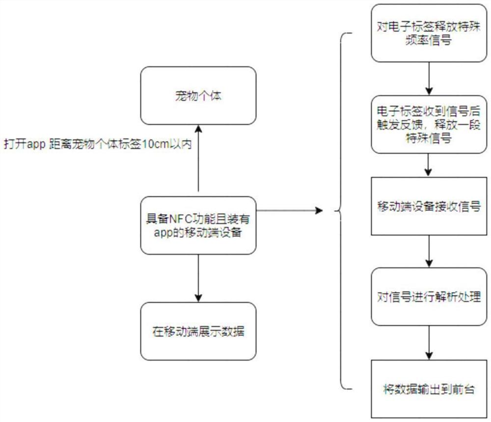 一种宠物信息展示系统