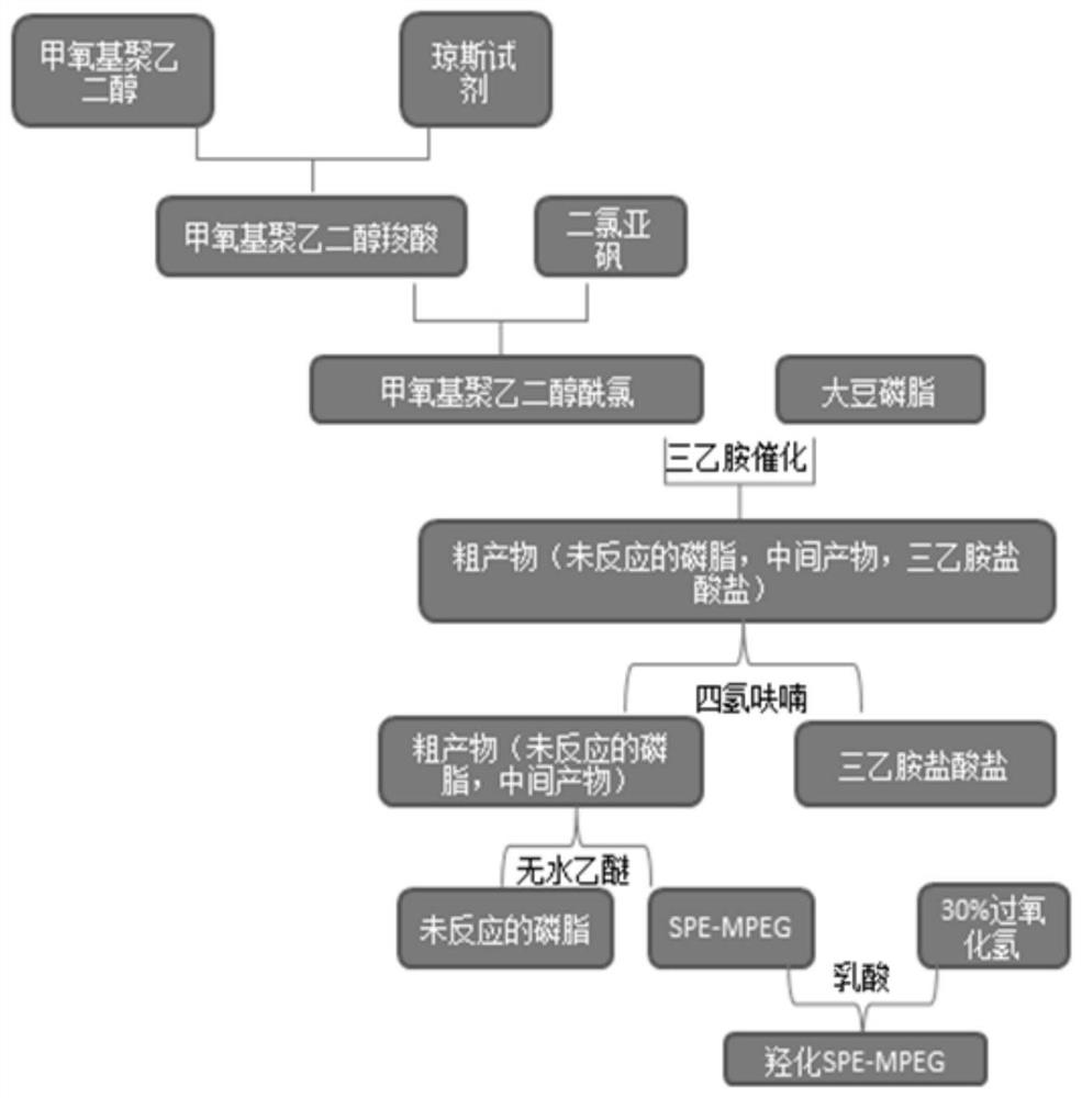 羟化大豆磷脂酰乙醇胺-甲氧基聚乙二醇、制备方法及其应用