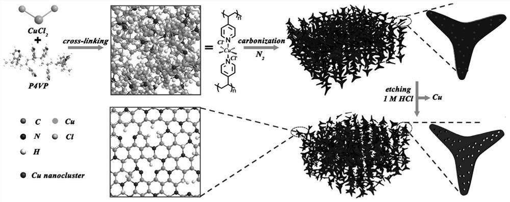 阴离子诱导碳纳米片中选择性生长超小铜模板法合成氮掺杂
多孔碳、方法及应用