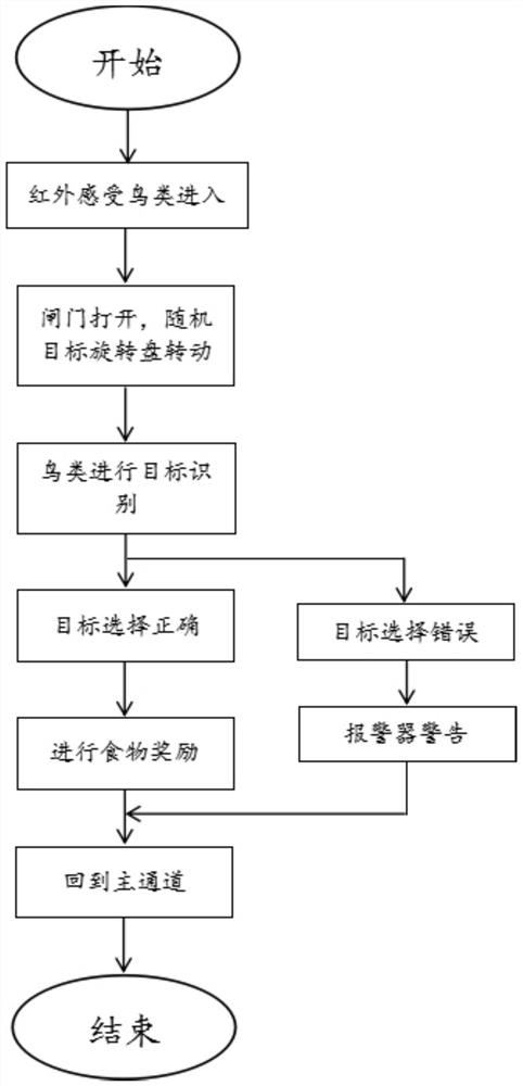 一种鸟类视觉识别行为训练系统