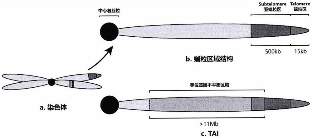 一种基于芯片检测的HRD评分计算方法