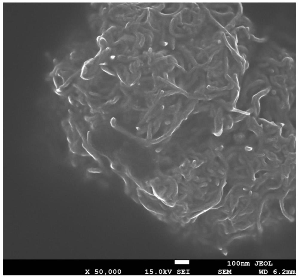 基于自微孔聚合物的碳纳米管分散方法及其复合物的超组装制备方法