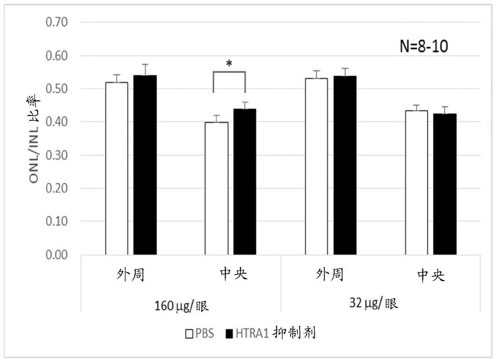 用于治疗色素性视网膜炎的肽