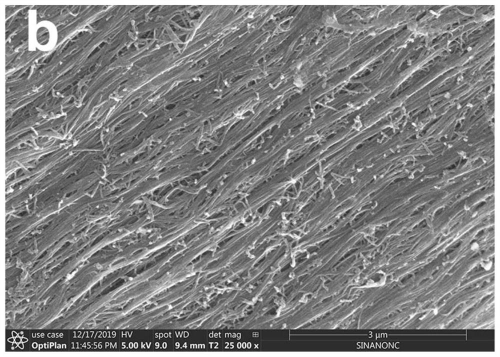 碳纳米管/导电聚合物复合纤维、其连续制备方法及系统