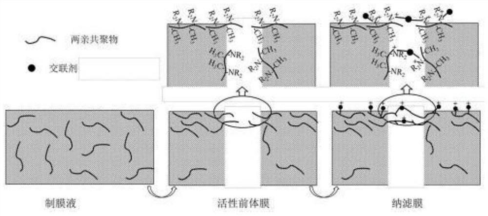 一种基于叔胺型两亲共聚物的荷正电纳滤膜及其制备方法