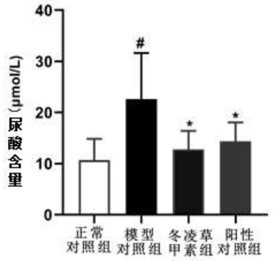 冬凌草甲素在制备治疗高尿酸血症和抗痛风药物中的应用