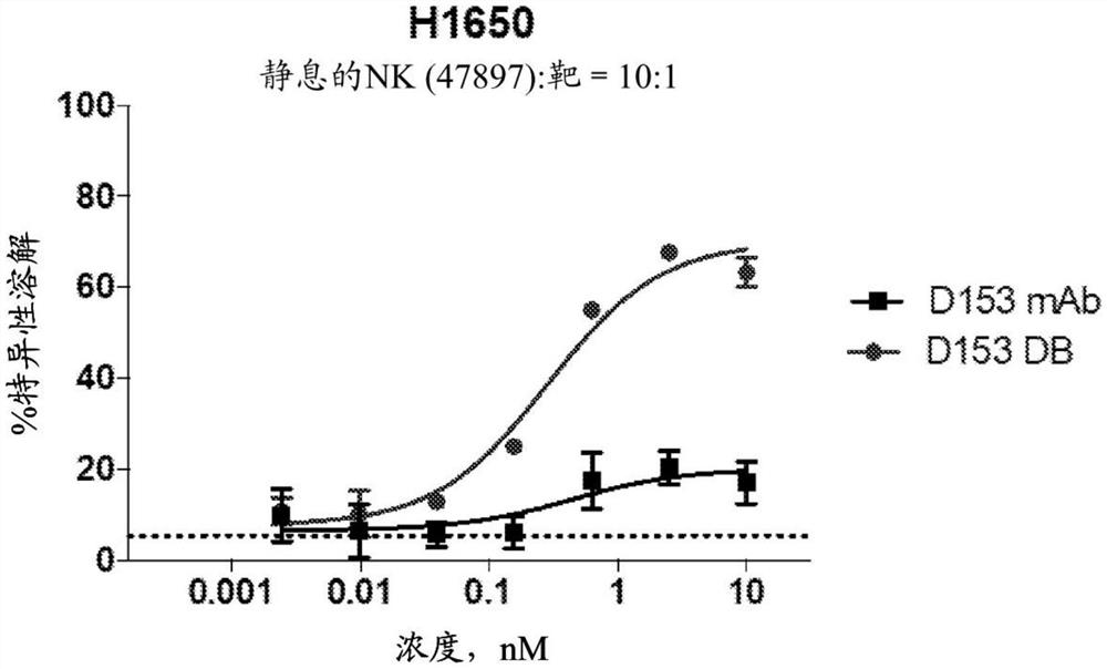 结合NKG2D、CD16和肿瘤相关抗原的蛋白质
