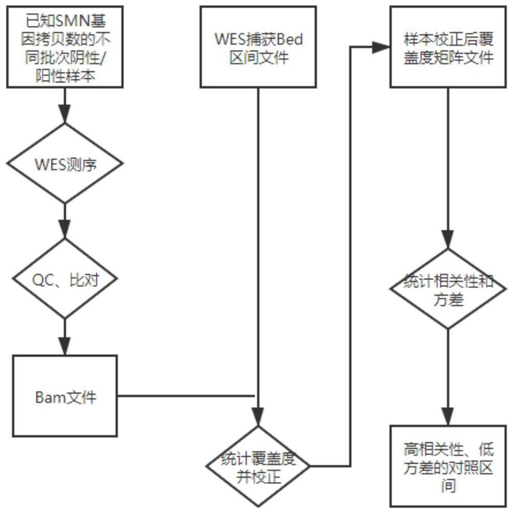 一种在WES数据中检测单样本SMN基因拷贝数的方法