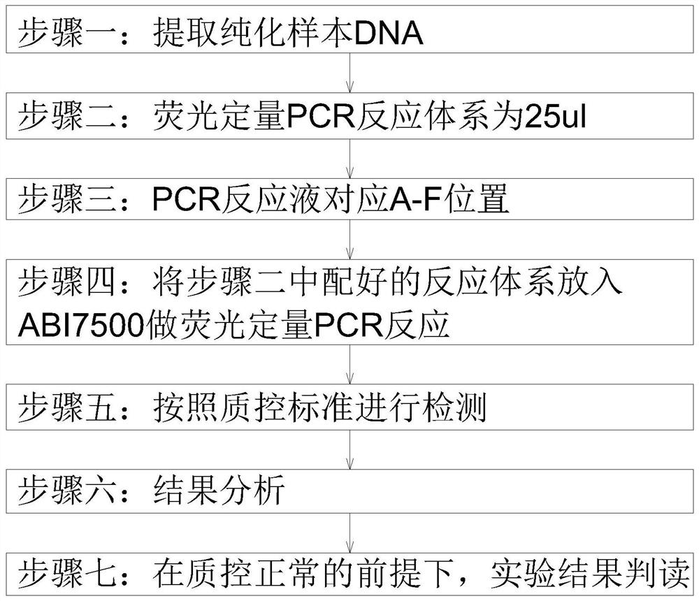 一种线粒体DNA A1555G和C1494T突变的荧光PCR检测试剂盒及检测方法
